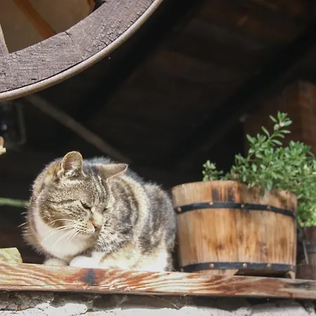 Apartman Dobre Wczasy Stronie Śląskie