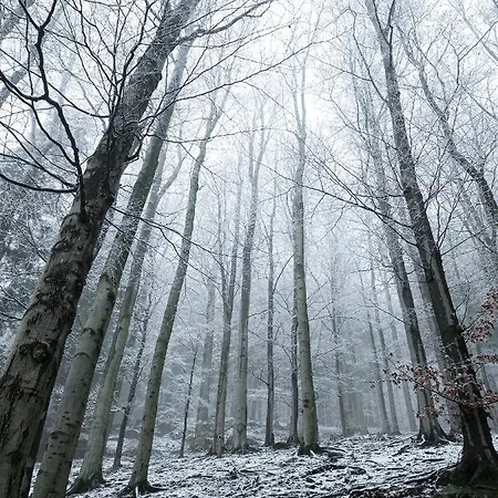 Dobre Wczasy Stronie Śląskie