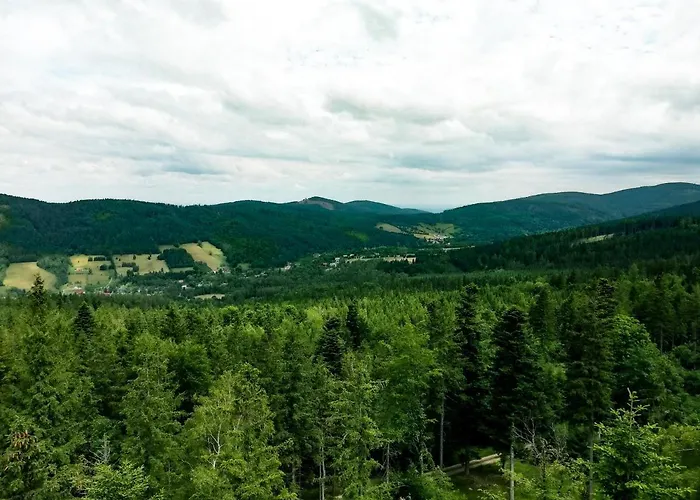 Apartment Dobre Wczasy Stronie Slaskie