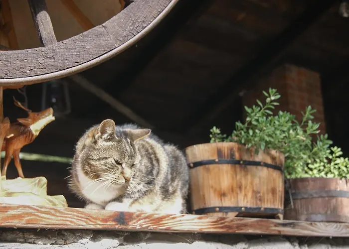 Apartment Dobre Wczasy Stronie Slaskie