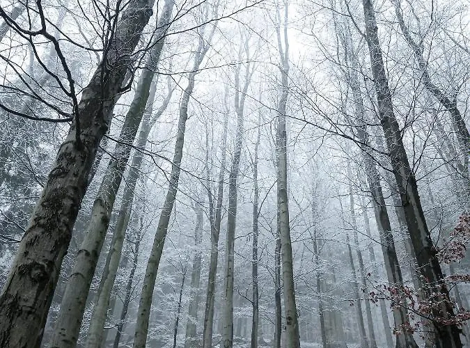 Dobre Wczasy Stronie Slaskie