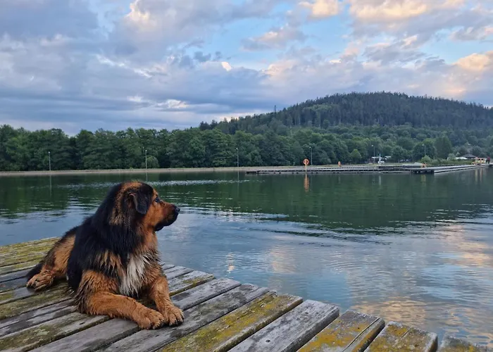 Apartment Dobre Wczasy Stronie Slaskie